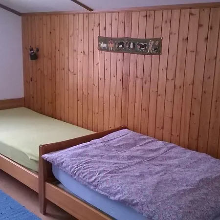 Apartmán Petite Fleur Adelboden